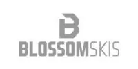 Logo Blossom