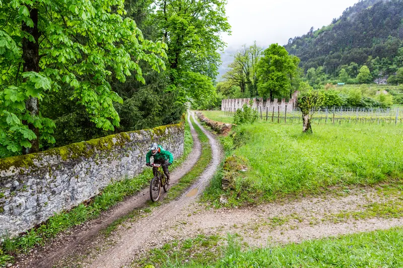 Rider in mountain bike su un sentiero tra i muretti a Terlago