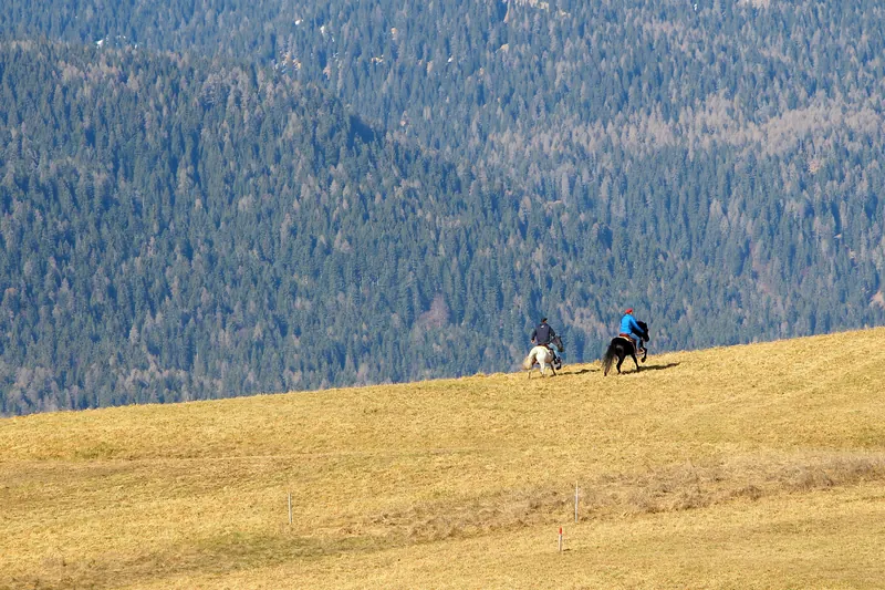 Due cavalieri su un prato d'alta quota