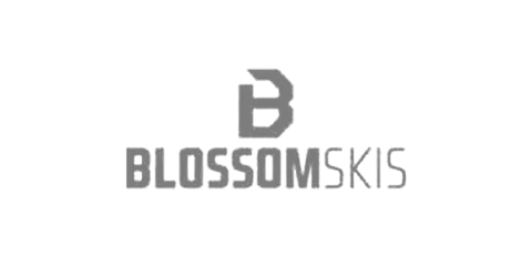 Logo Blossom