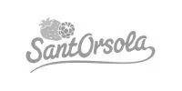 Logo Sant'Orsola